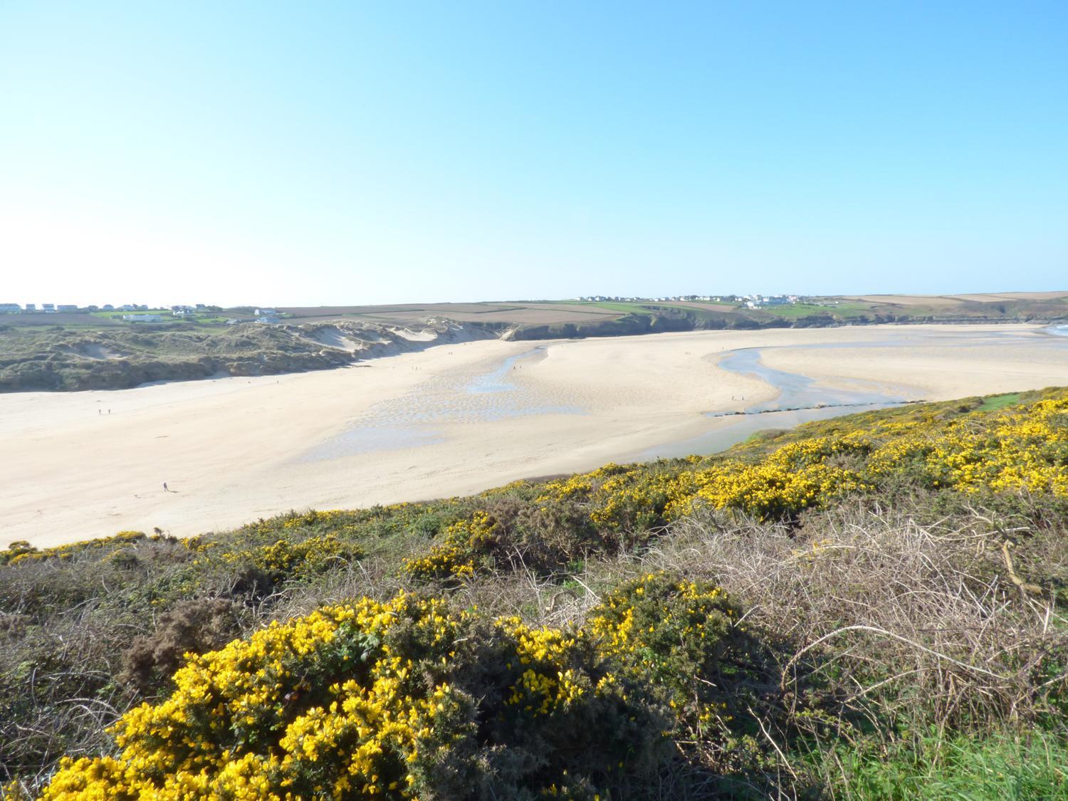 Вілла Fistral Breeze Ньюкі Екстер'єр фото